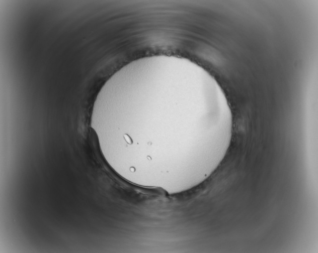X0000088060869200706081647