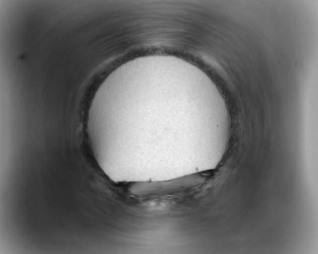 X0000088060872200706081647