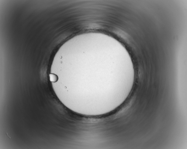 X0000088060873200706081647