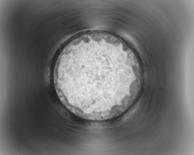 X0000088060875200706081647