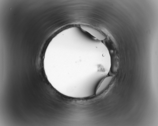X0000088060876200706081647