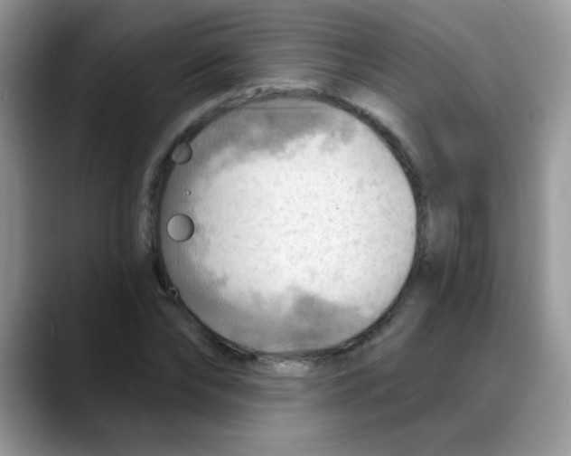 X0000088060878200706081647