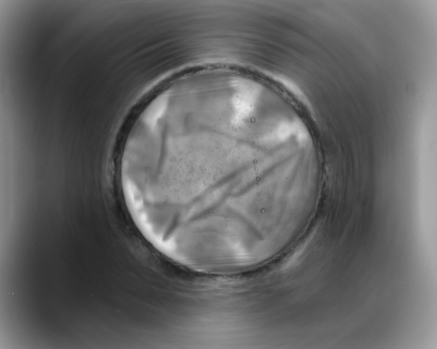 X0000088060879200706081647