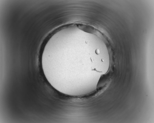 X0000088060880200706081647