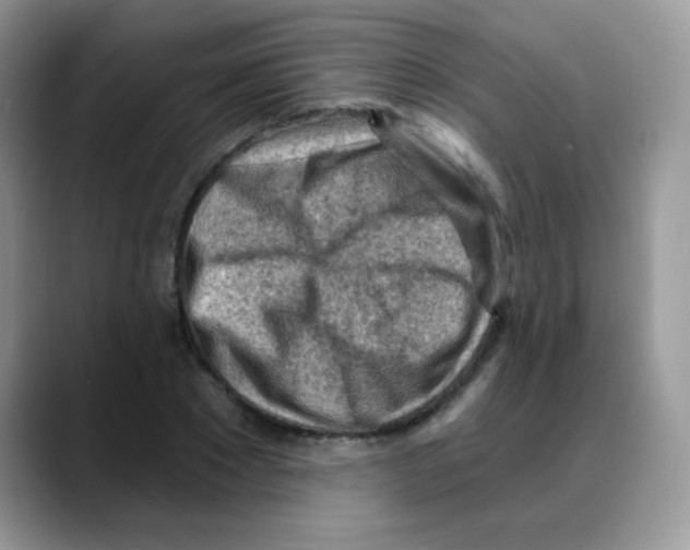 X0000088060881200706081647