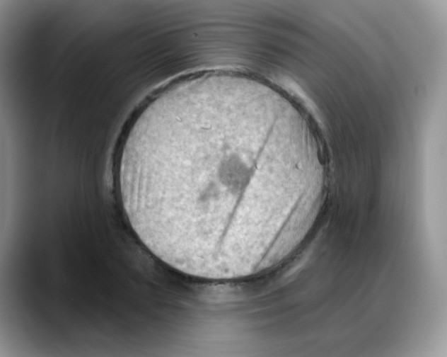 X0000088060883200706081647