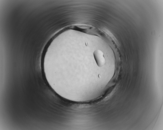 X0000088060884200706081647