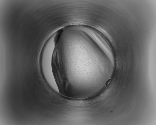 X0000088060885200706081647