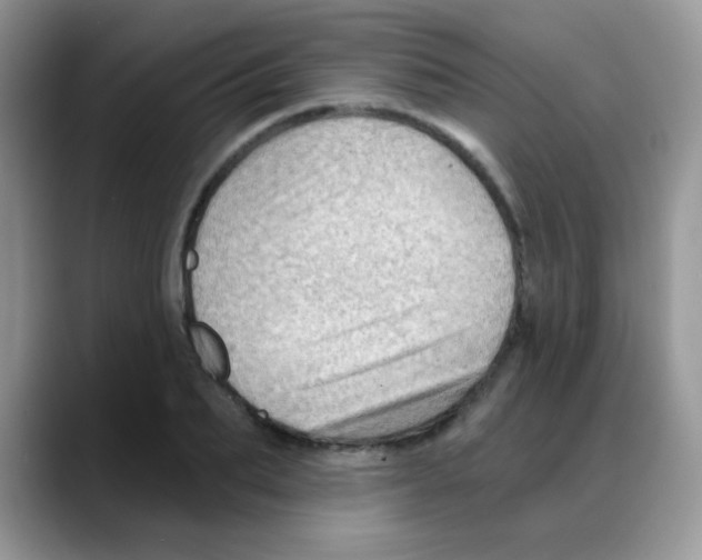 X0000088060887200706081647