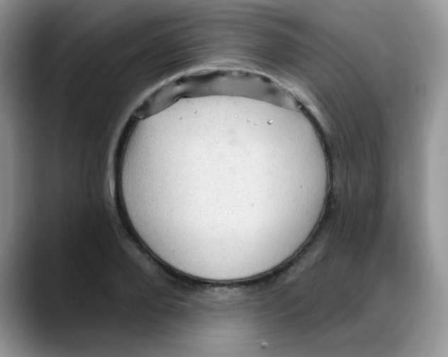 X0000088060888200706081647