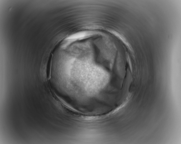 X0000088060889200706081647