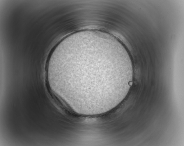 X0000088060890200706081647