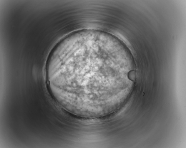 X0000088060891200706081647