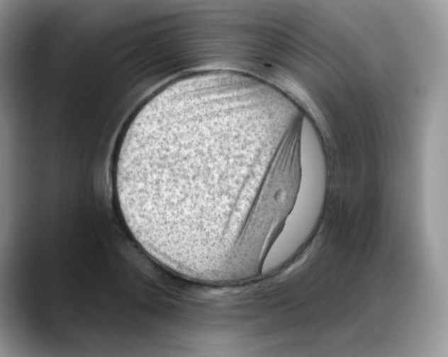 X0000088060892200706081647