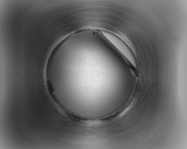X0000088060893200706081647