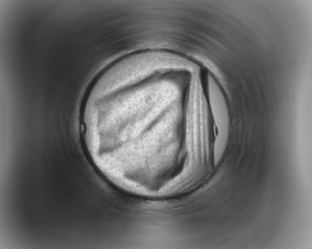 X0000088060894200706081647