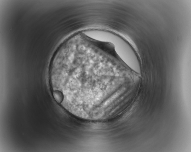 X0000088060895200706081647