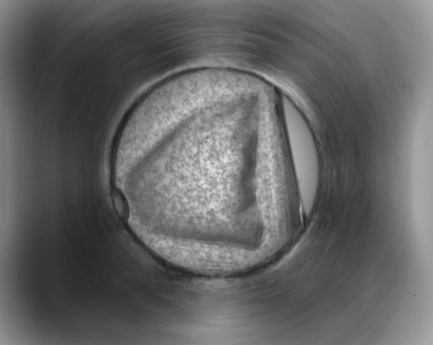 X0000088060896200706081647