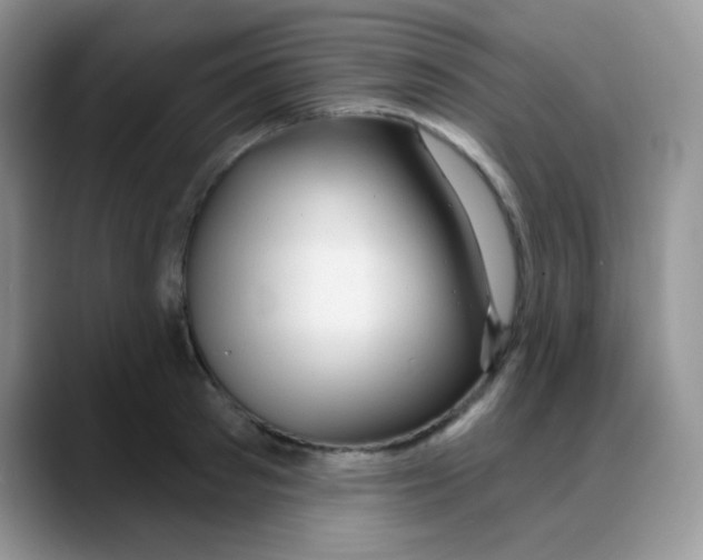 X0000088060897200706081647