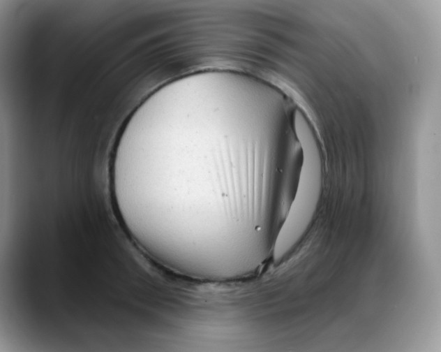 X0000088060898200706081647