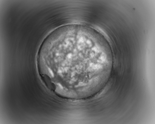 X0000088060899200706081647