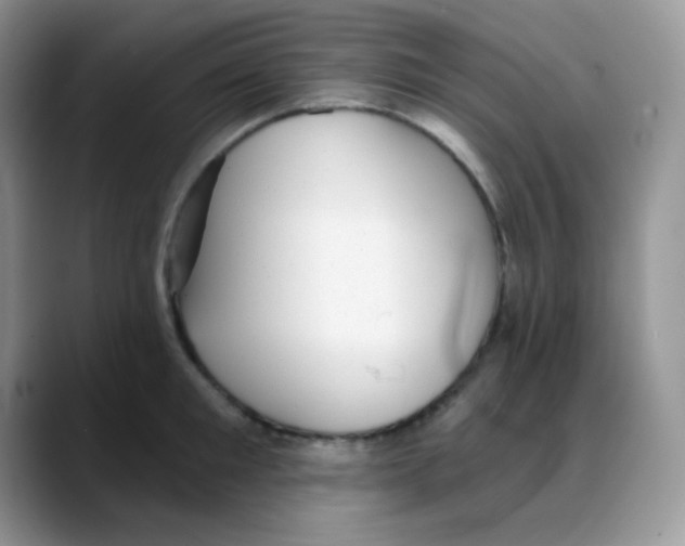 X0000088060901200706081647