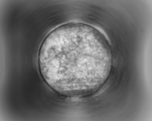 X0000088060903200706081647