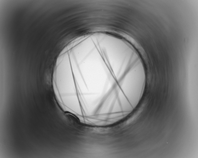 X0000088060905200706081647