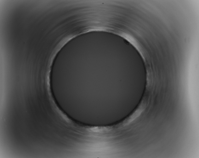 X0000088060906200706081647