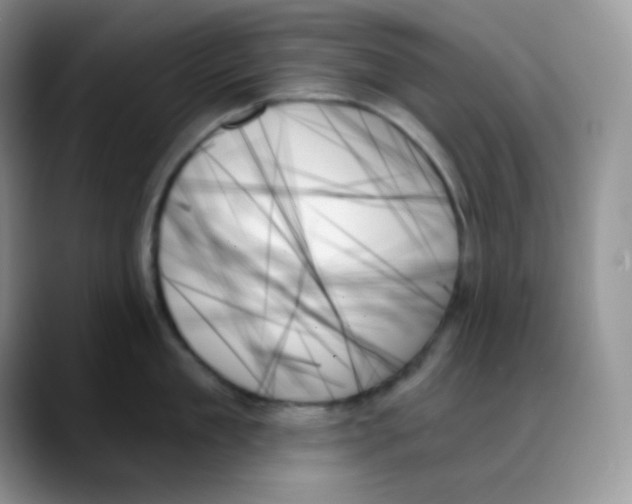 X0000088060909200706081647