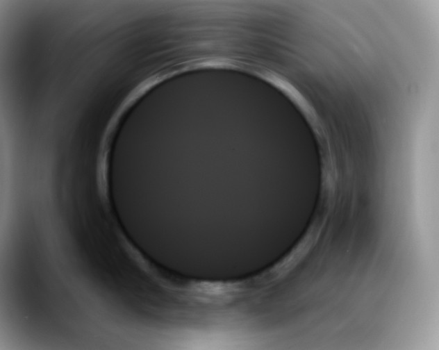 X0000088060910200706081647