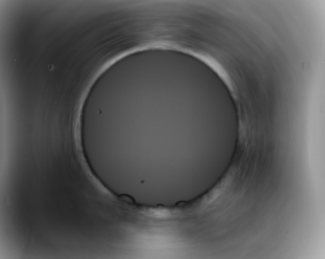 X0000088060911200706081647