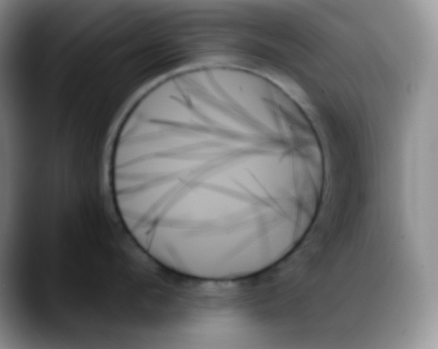 X0000088060912200706081647