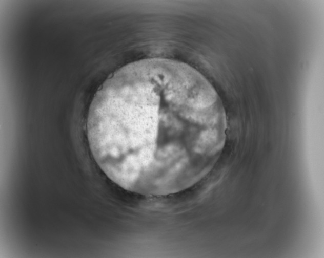 X0000088060913200706081646