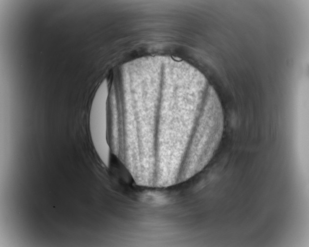 X0000088060914200706081646