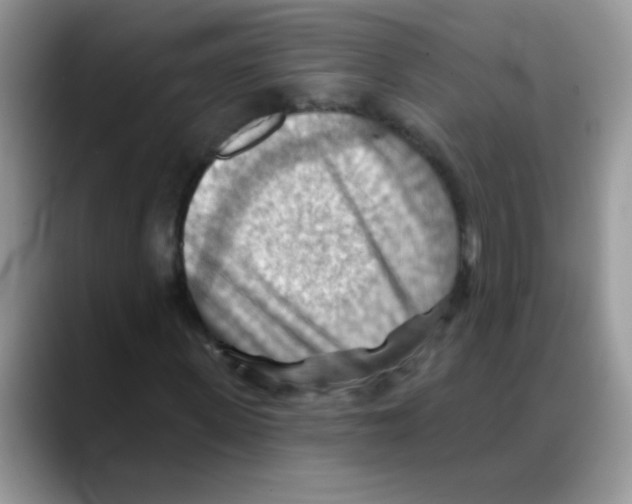 X0000088060915200706081646