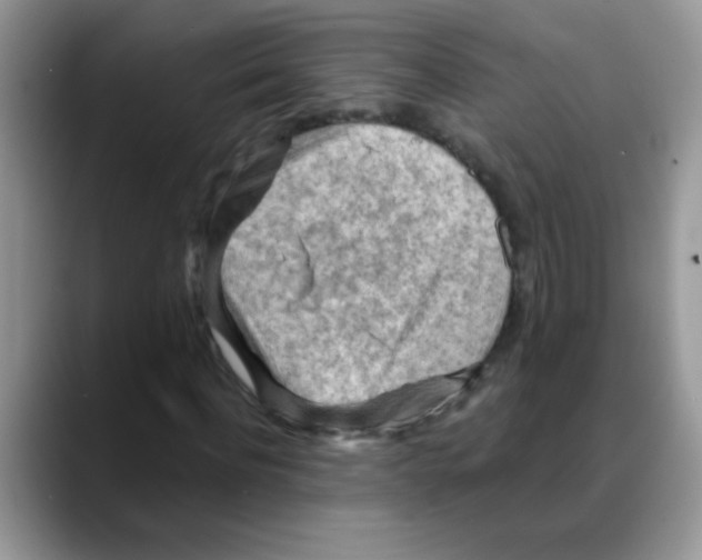 X0000088060916200706081646