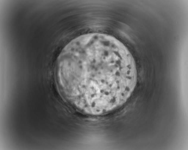 X0000088060917200706081646