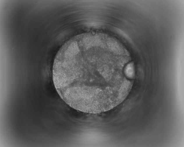 X0000088060918200706081646