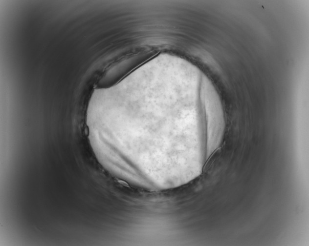 X0000088060920200706081646
