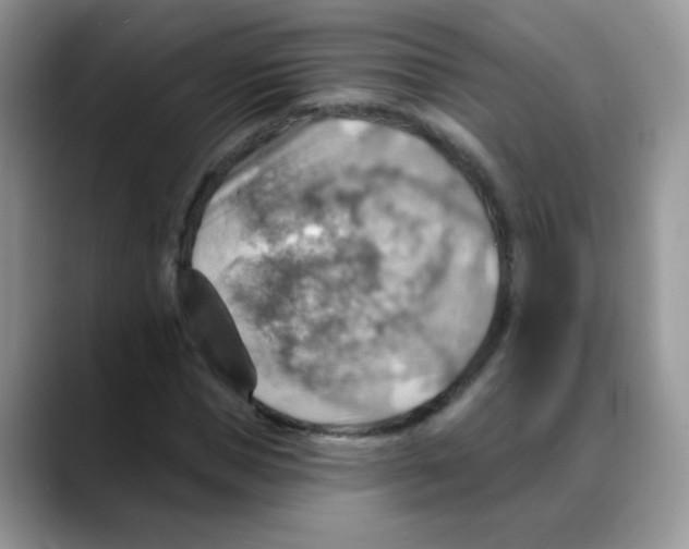 X0000088060921200706081646