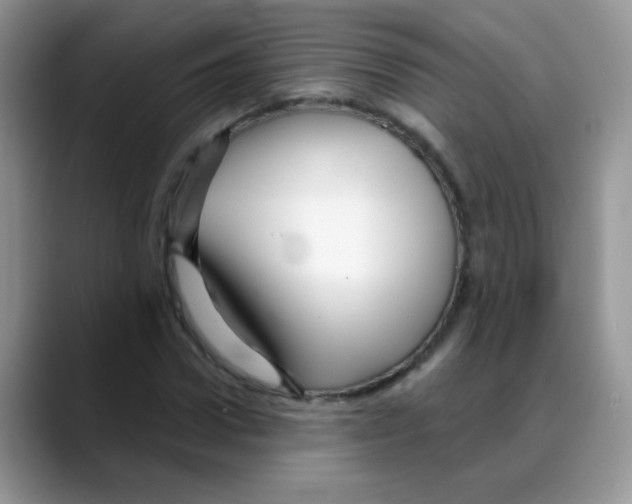 X0000088060922200706081646