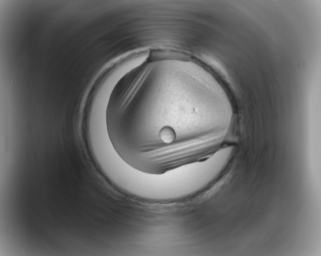 X0000088060924200706081646