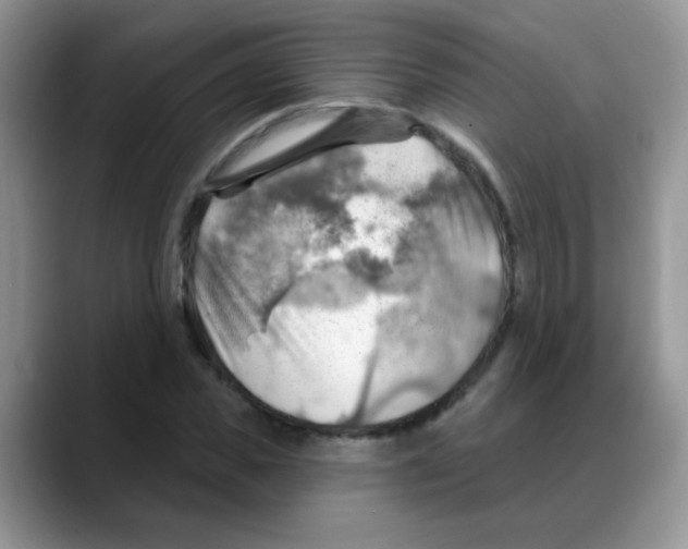 X0000088060925200706081646
