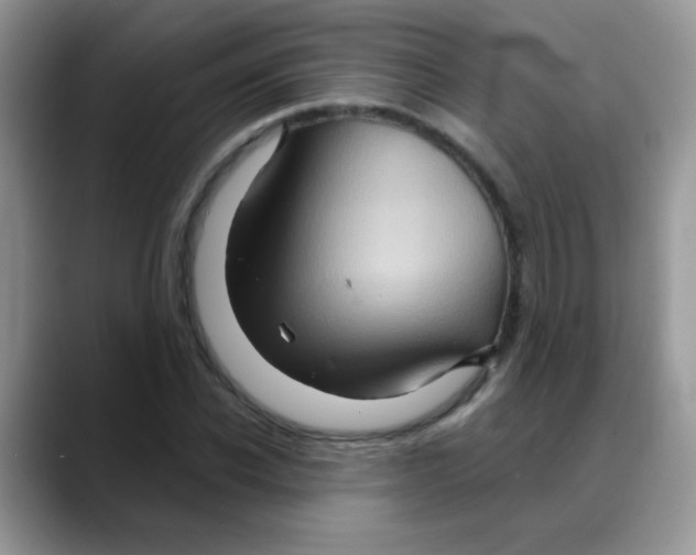 X0000088060926200706081646