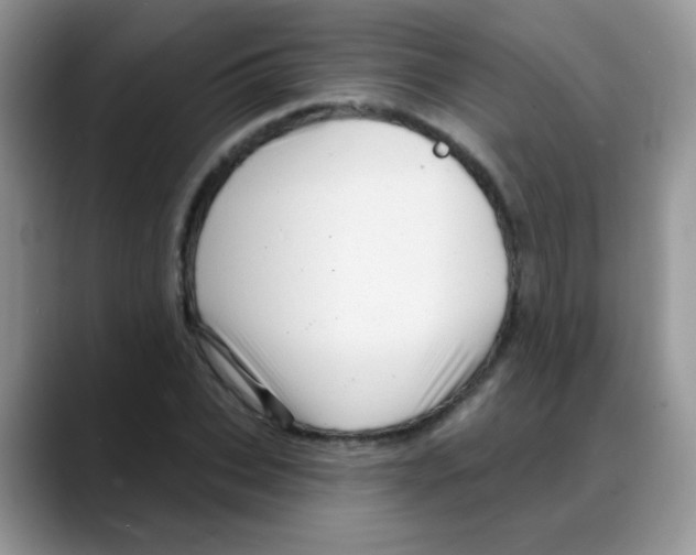 X0000088060927200706081646