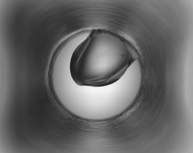 X0000088060928200706081646