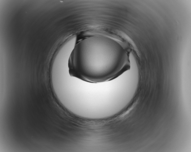 X0000088060930200706081646