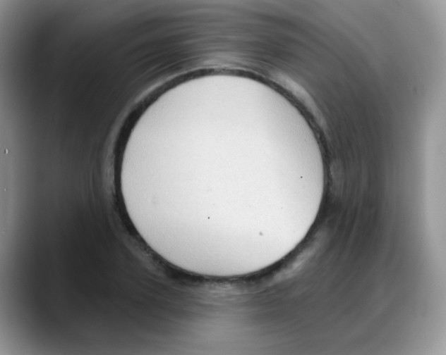 X0000088060931200706081646