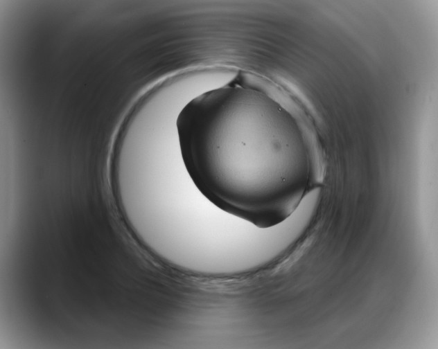 X0000088060932200706081646